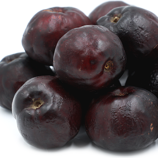 Burdekin Plum Live Plant (Pleiogynium timoriense)