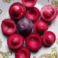 Purple Plum Cherry Live Plant (Eugenia sp)