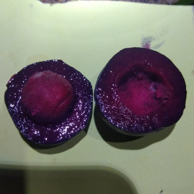 Purple Plum Cherry Live Plant (Eugenia sp)