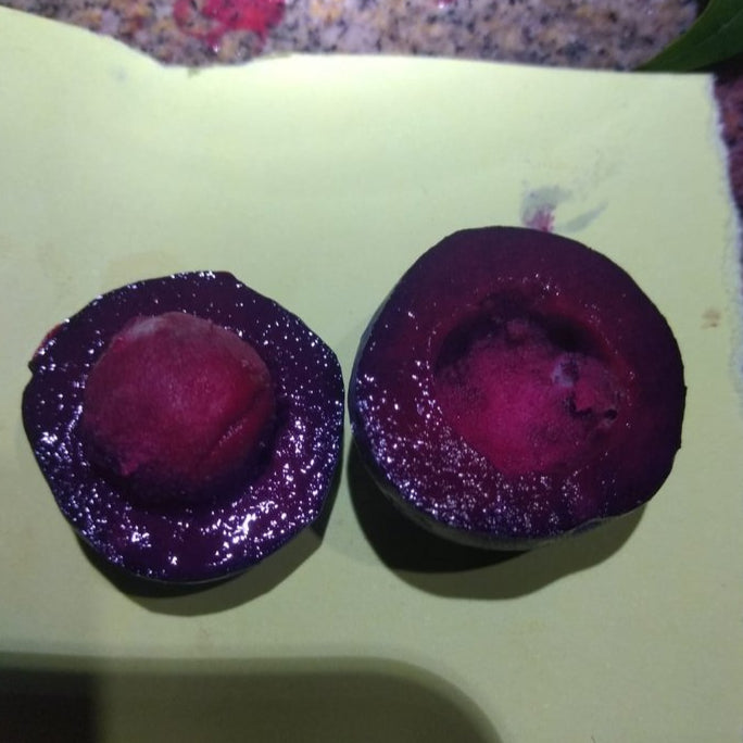 Purple Plum Cherry Live Plant (Eugenia sp)
