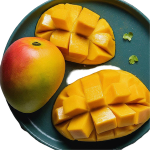 Rajapuri Mango Live Plant (Mangifera indica)