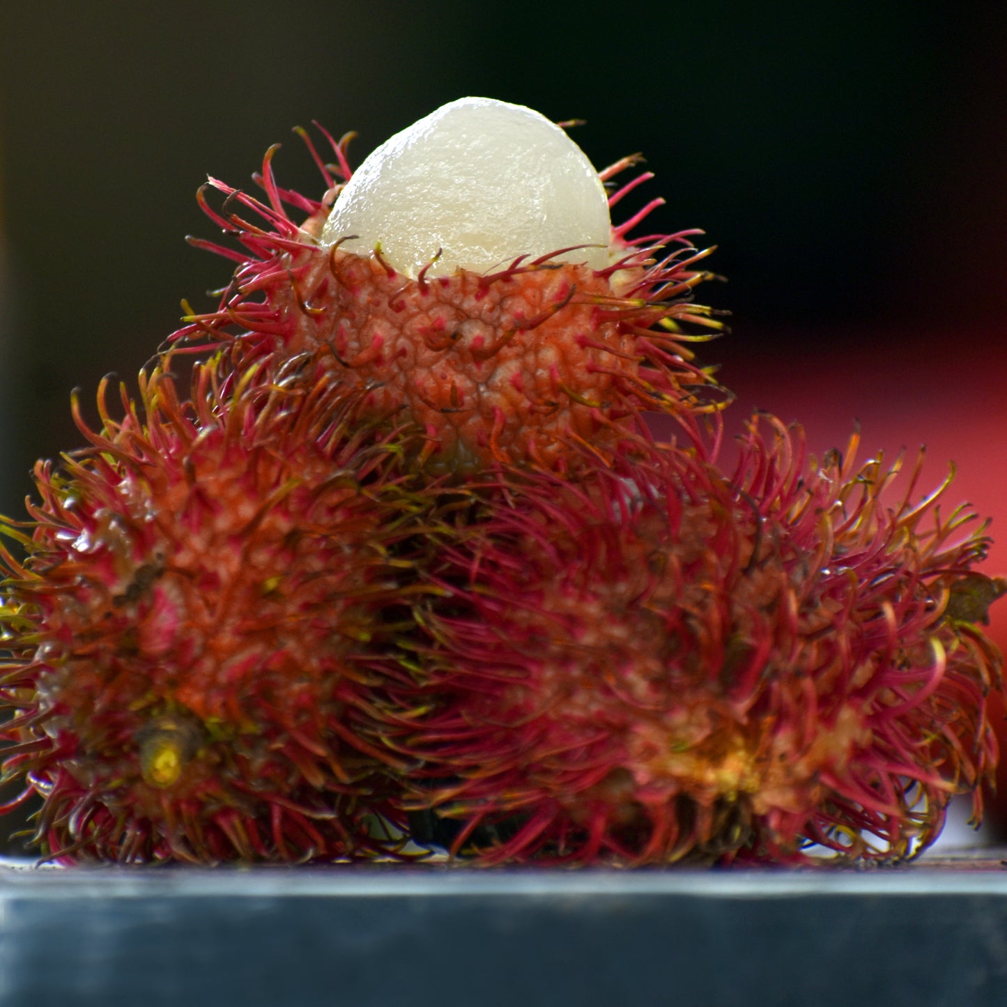 Rambutan Caesar Live Plants (Red) – veliyathgardens