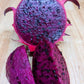 Red Jaina Dragon Fruit (Selenicereus undatus)