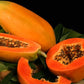 Red lady Papaya Live Plant (Carica papaya f1 hybrid Red Lady )