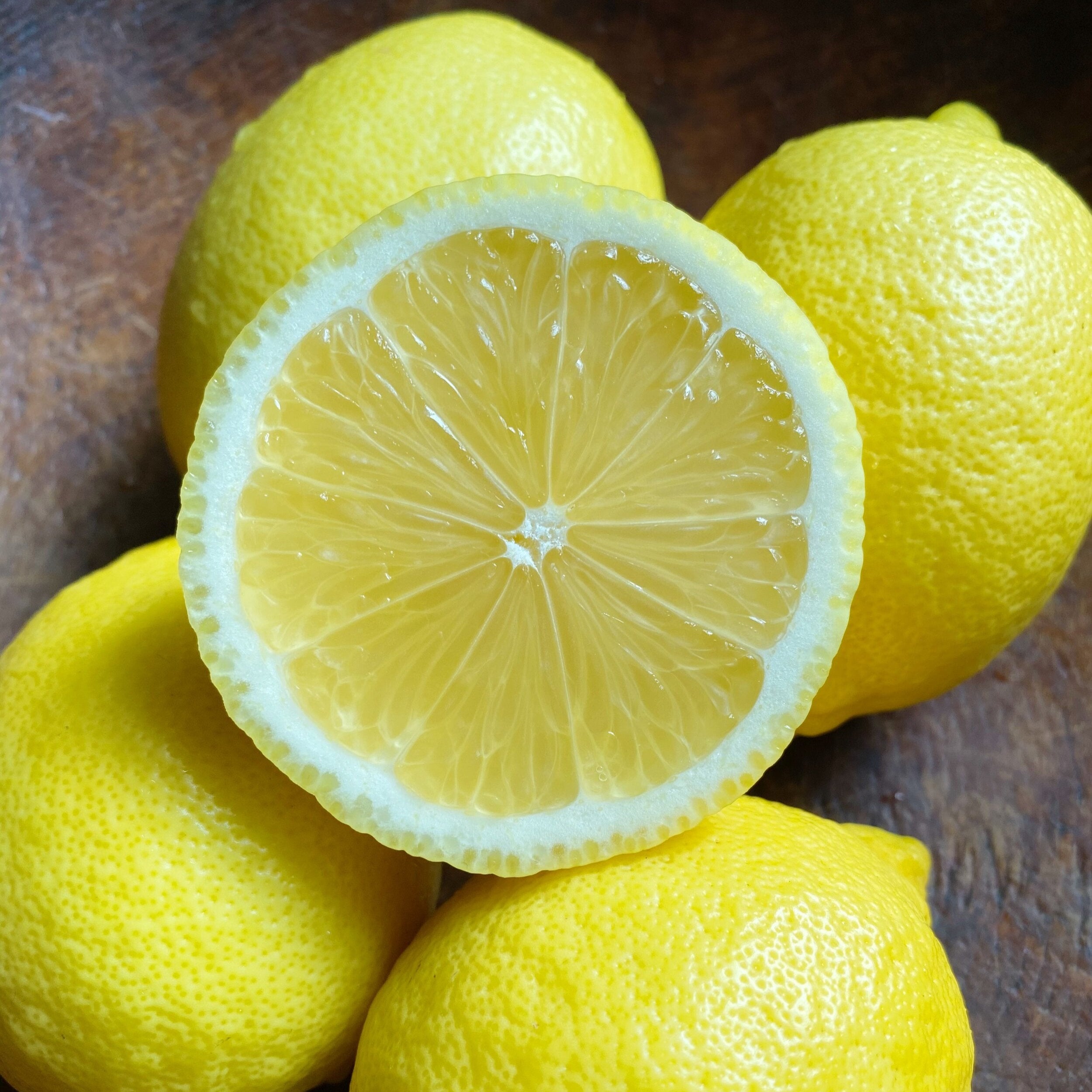 Seedless Lemon Live Plant (Citrus Limon)