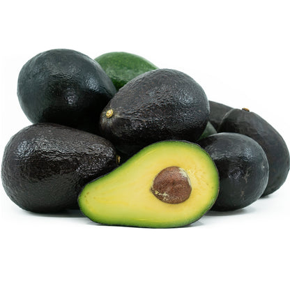 Sir Prize Avocado Live Plant
