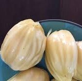 Sugar Jack' ( Artocarpus heterophyllus) Live Plant