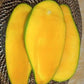 Super Queen Mango LIve Plant (Mangifera indica)