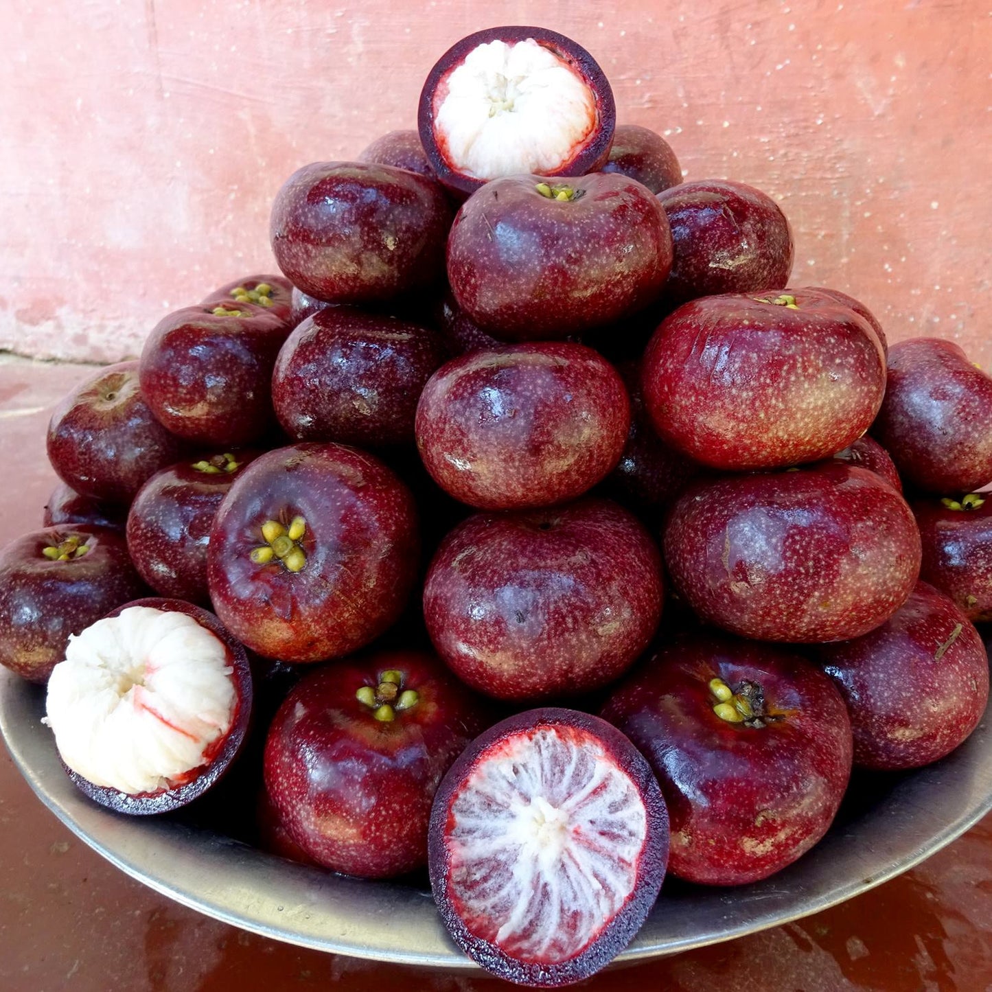 Sweet Kokum Fruit Plants (Garcinia Indica)
