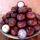 Sweet Kokum Fruit Plants (Garcinia Indica)