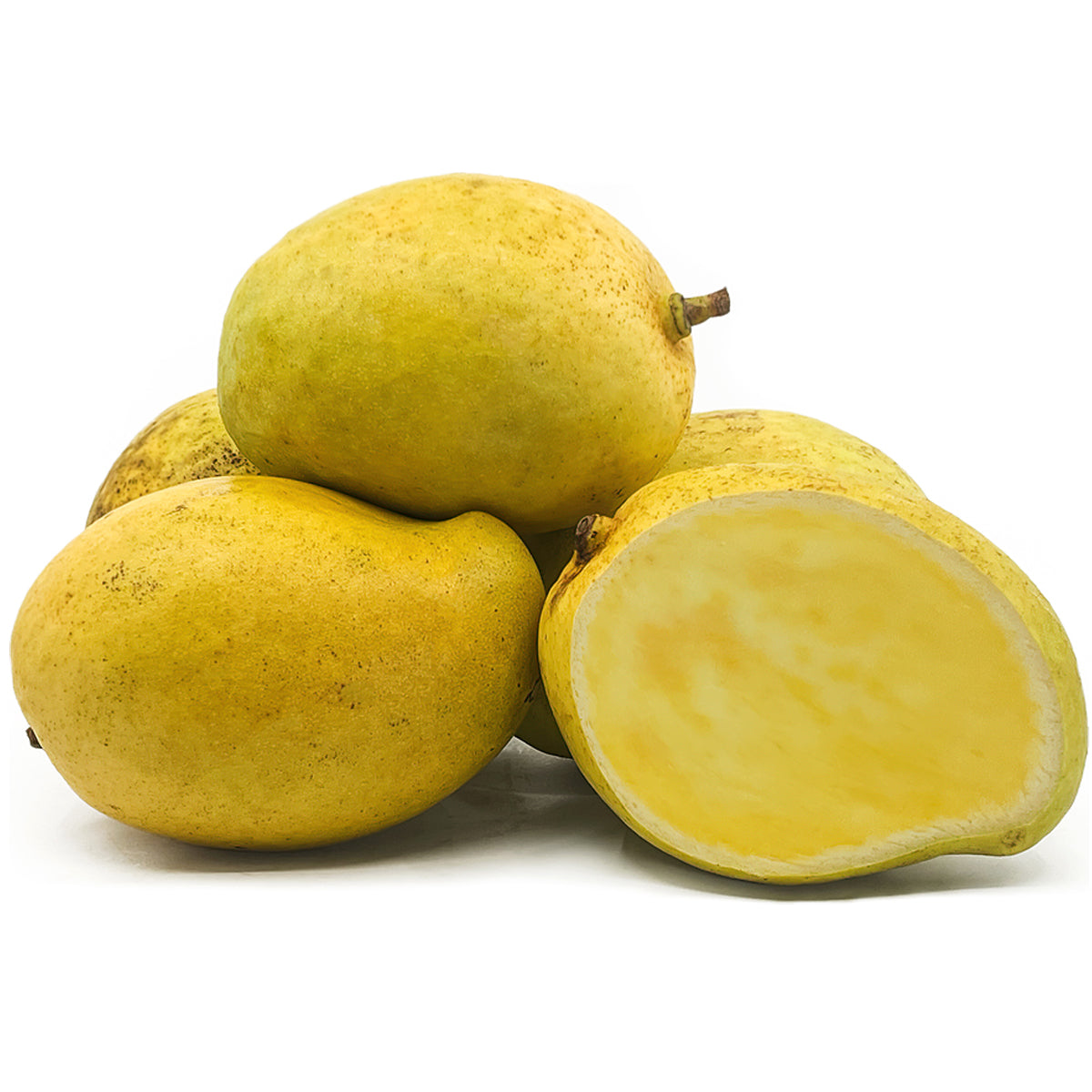 TJC Mango Live Plant (Mangifera indica)