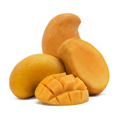 TJC Mango Live Plant (Mangifera indica)