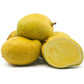 TJC Mango Live Plant (Mangifera indica)