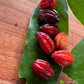 The Eugenia sp. Pitanguinha Red Live Plant