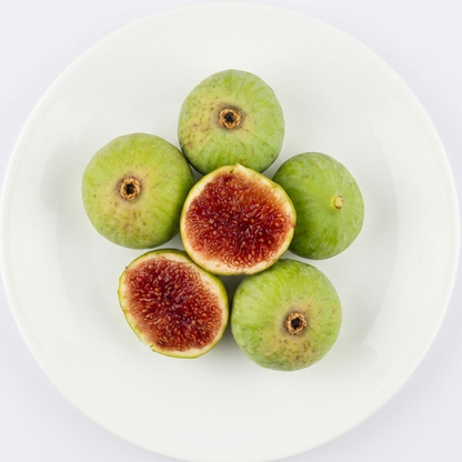 The Mig Paratjal Fig Live Plant (Ficus carica)
