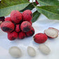 Korlan Fruit Plant (Nephelium hypoleucum)