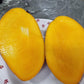 Yuwen Mango Live Plant