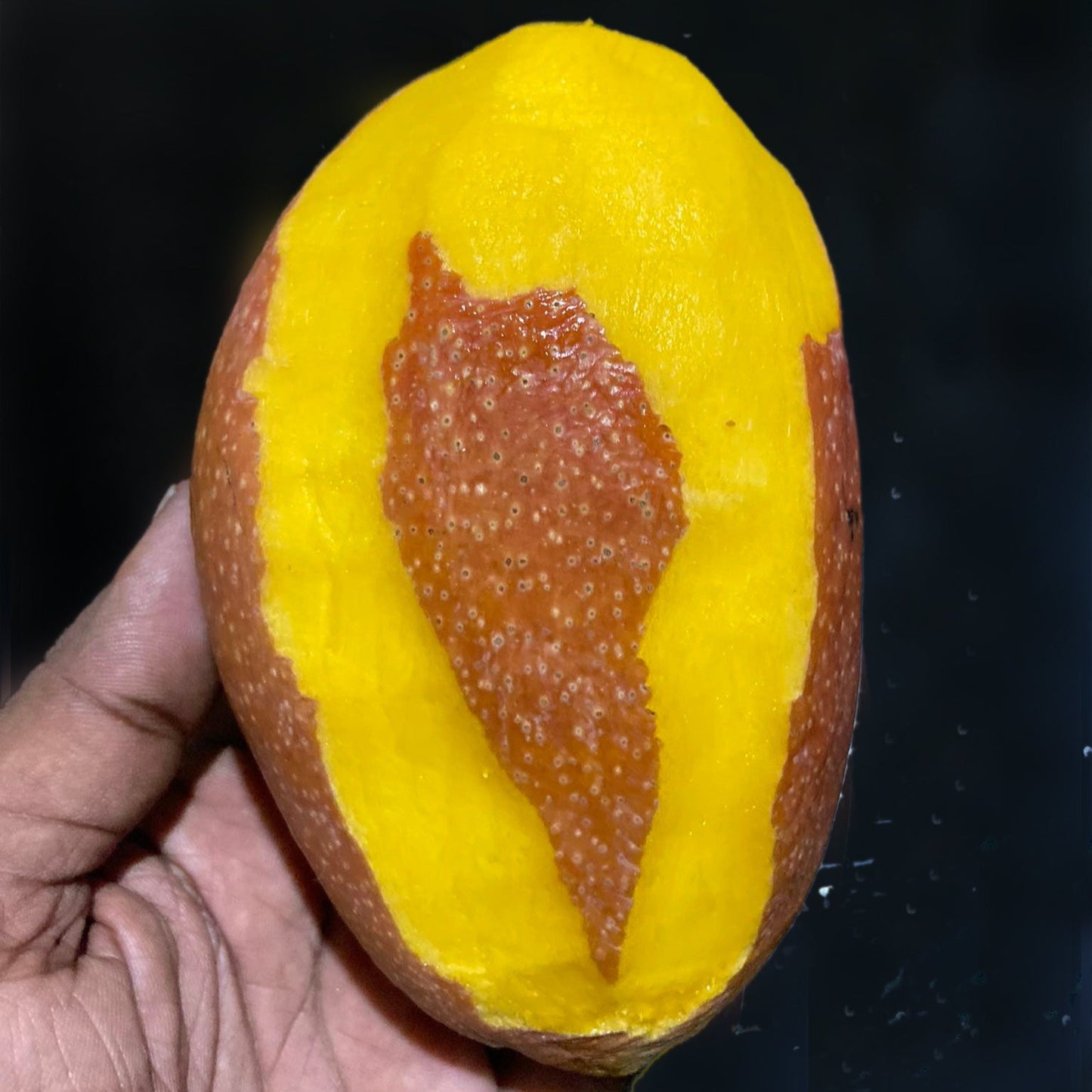 Yuwen Mango Live Plant