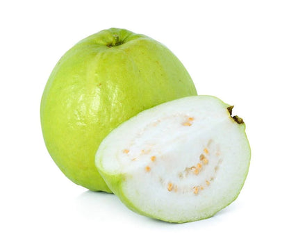 Allahabad Safeda Guava Fruit plant