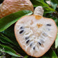 Custard Apple Fruit Plant (Annona Reticulata)