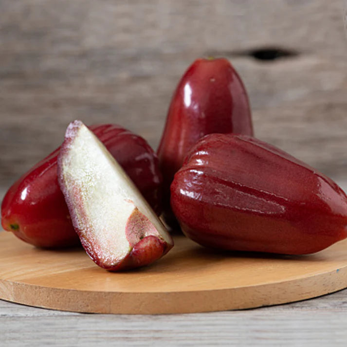 Bali Chamba Fruit Plants (Syzygium Samarangense)