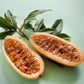 Banana Passion Fruit Plant (Passiflora tripartita mollissima)