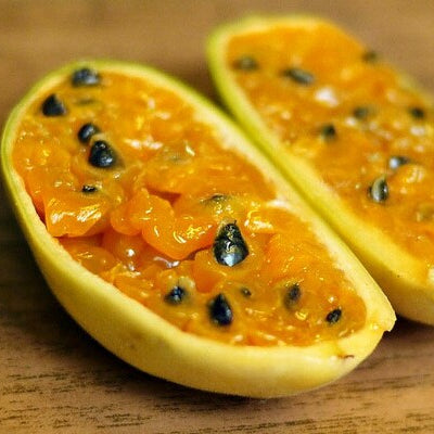 Banana Passion Fruit Plant (Passiflora tripartita mollissima)