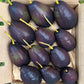 Brogden Avocado LIve Plant(Persea americana 'Brogden')