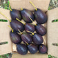 Brogden Avocado LIve Plant(Persea americana 'Brogden')