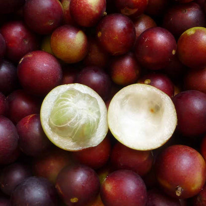 Camu Camu: The Vitamin C Jewel of the Amazon