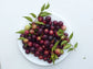 Camu Camu: The Vitamin C Jewel of the Amazon