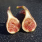 Celeste Fig Fruit Plant (Ficus carica 'Celeste")