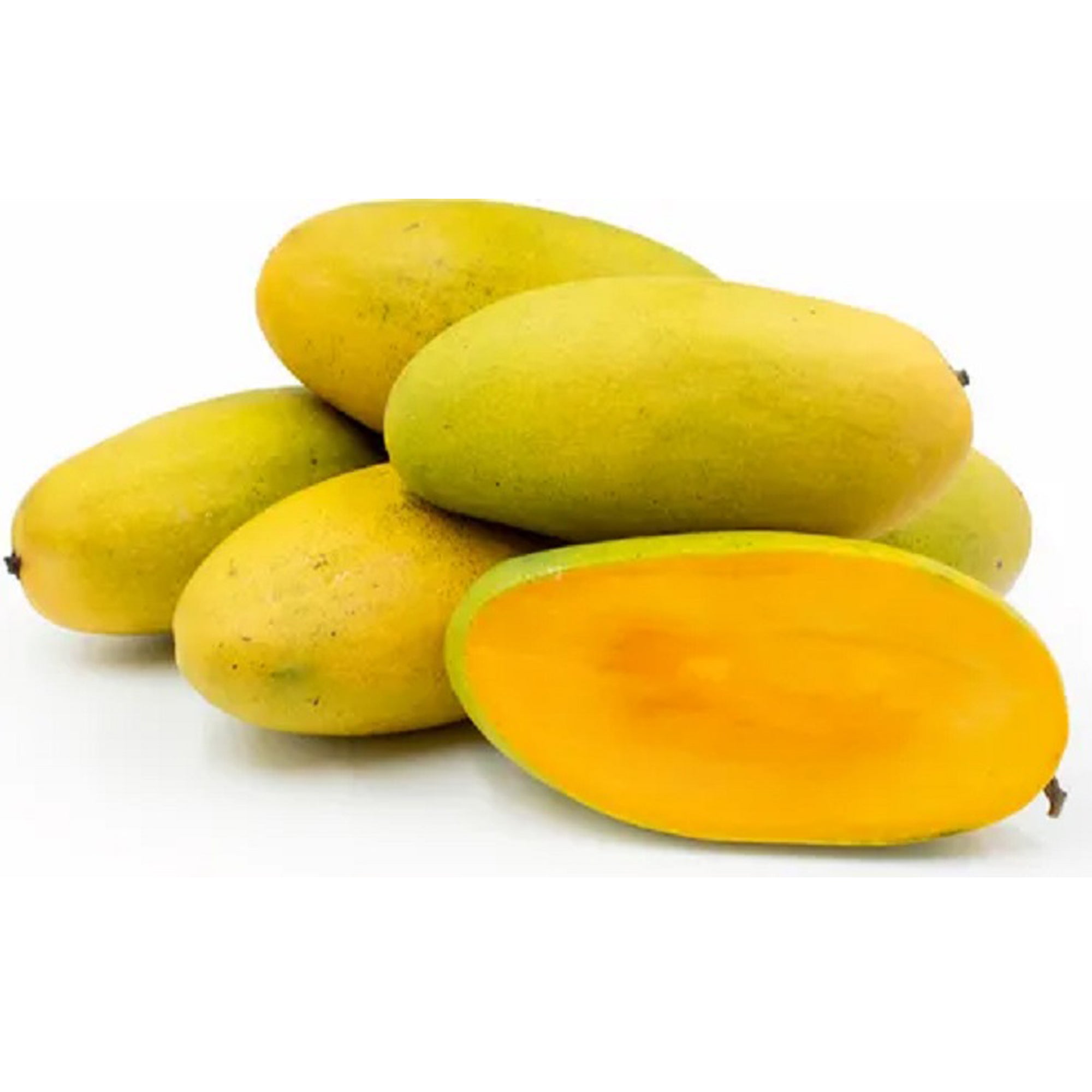 Dasheri Mango fruit Plant (Mangifera Indica)