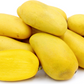 Honey Dew Mango Fruit Plant (Mangifera Indica)