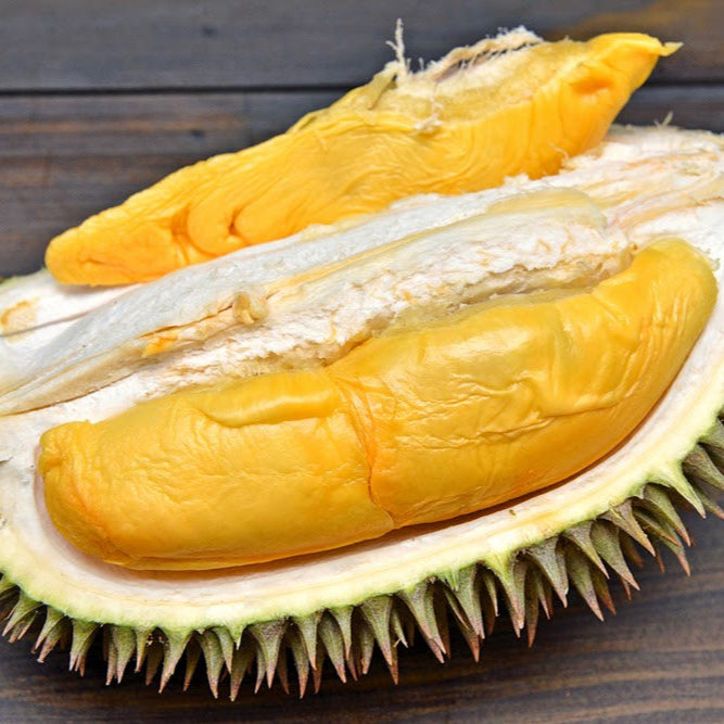 D101 durian Live Plants