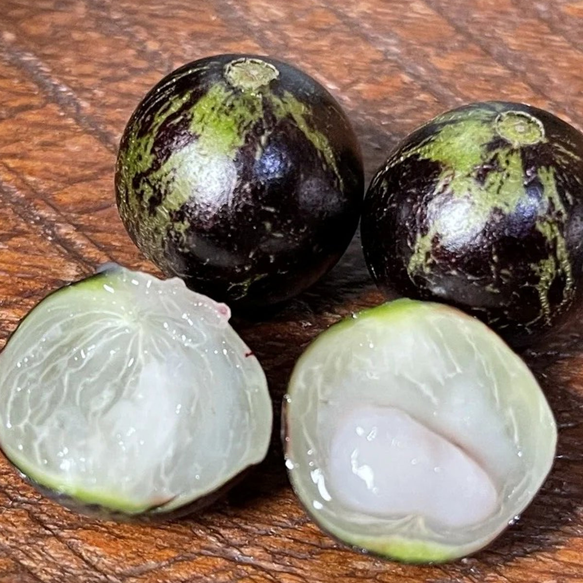 Honey Syrup Jaboticaba (Plinia sp)
