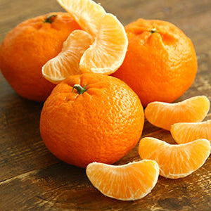 Honey Mandarin Orange Fruit Plant  (Citrus reticulata)