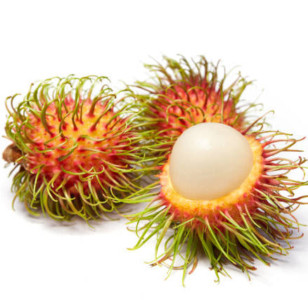 Rambutan Rongrien Live Plants