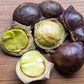 Jering Nut LIve Plant (Archidendron pauciflorum)
