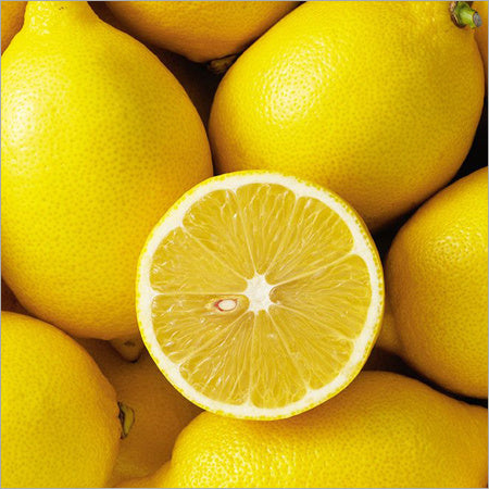 Washington Lemon Fruit Plant (Citrus sp)