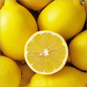 Washington Lemon Fruit Plant (Citrus sp)