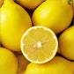 Washington Lemon Fruit Plant (Citrus sp)