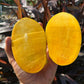 Lemon Zest Mango Live Plant (Mangifera indica 'Lemon Zest')