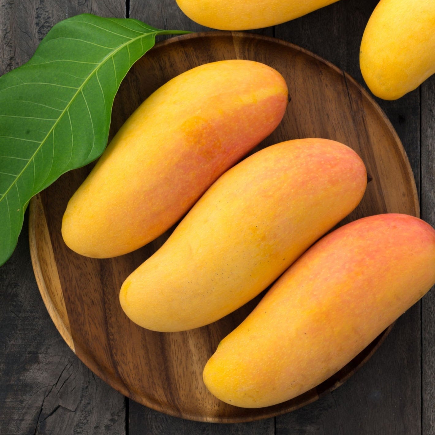 Mahachanok Mango – veliyathgardens