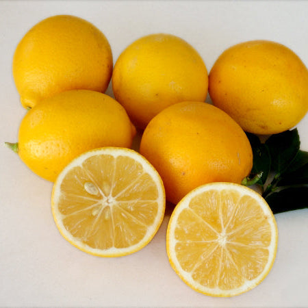 Meyer Lemon Live Plant (Citrus × meyeri)