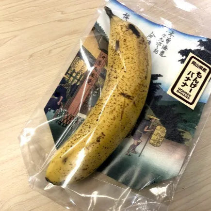 Japanese Mongee Banana (Musa sp)