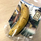 Japanese Mongee Banana (Musa sp)