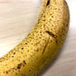 Japanese Mongee Banana (Musa sp)