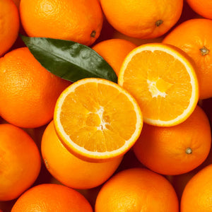 Morocco Orange Fruit Plant (Citrus × sinensis)