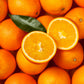 Morocco Orange Fruit Plant (Citrus × sinensis)